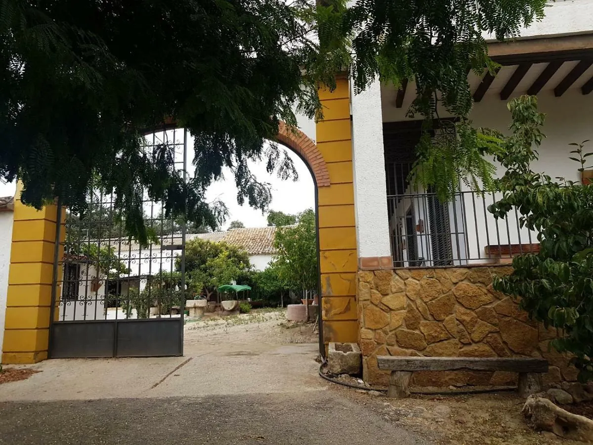 Alambique Holiday Setenil contacts